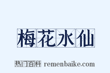 梅花水仙是什么意思的图片